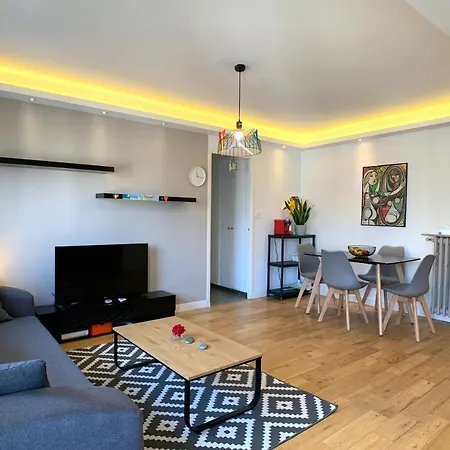 Bnb Renting Bright Design Flat Center Of Antibes אנטיב